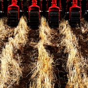 kv_kultistrip_img_9101_kvg_large