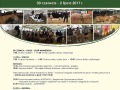 Program Wystawy - Sitno 2017